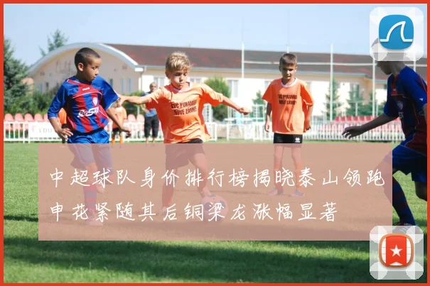 中超球队身价排行榜揭晓泰山领跑申花紧随其后铜梁龙涨幅显著