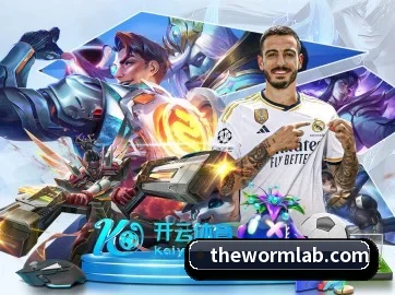 正式成立
